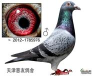 䰮