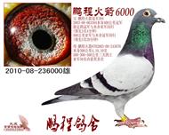 ̻ϵ