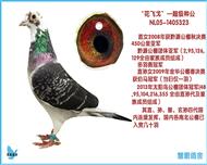 ɸۡɸDֹ(ʼ棩