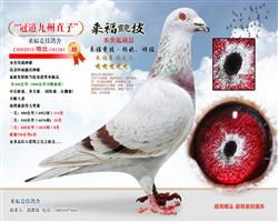 ڵֱӡ