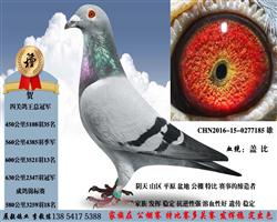 Ǳ7185