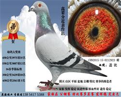2923