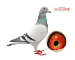 788