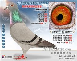 漣