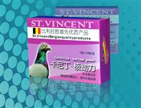 ᶡDD˶棬ʹ֬ɼ⡢ޣ