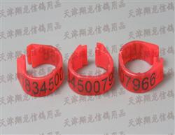 1-5ʹھֿ˽5׸ߣ0.8Ԫ1