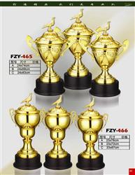 FZY-465-466