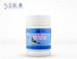 ˺19ſ/飨ˮɢ/150