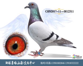 CHN201709-0012311