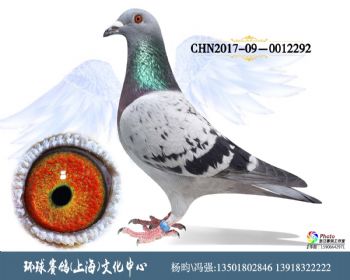CHN201709-0012292