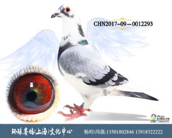 CHN201709-0012293