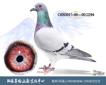 CHN201709-0012294