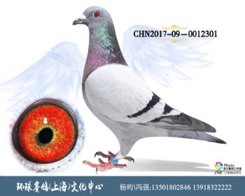 CHN201709-0012301
