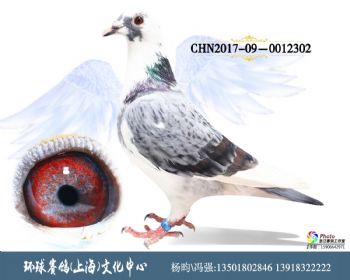 CHN201709-0012302
