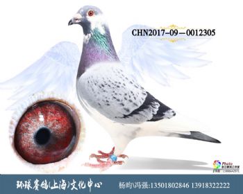 CHN201709-0012305