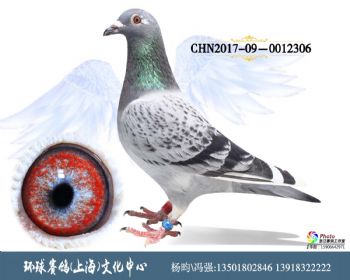 CHN201709-0012306
