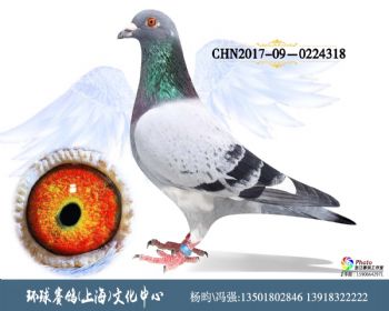 CHN201709-0224318