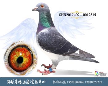 CHN201709-0012315