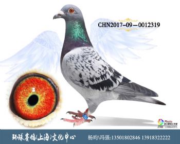 CHN201709-0012319
