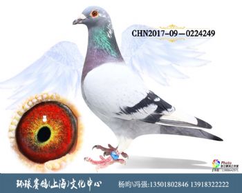 CHN201709-0224249
