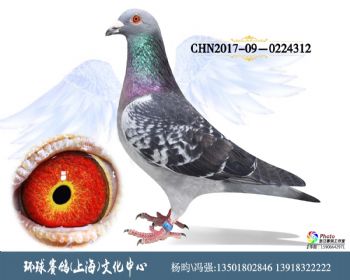 CHN201709-0224312