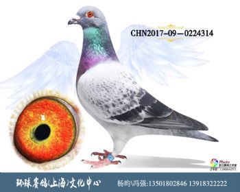 CHN201709-0224314