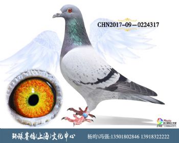 CHN201709-0224317