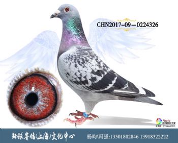 CHN201709-0224326