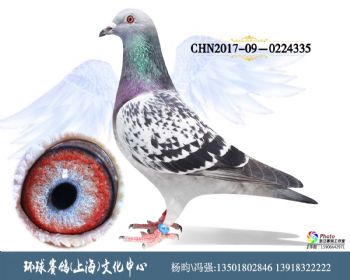 CHN201709-0224335