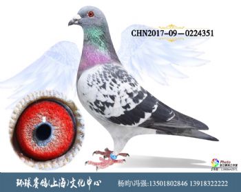 CHN201709-0224351