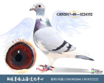 CHN201709-0224352