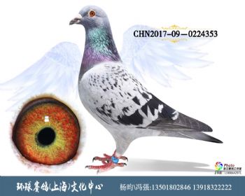 CHN201709-0224353