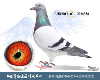 CHN201709-0224354