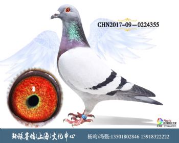 CHN201709-0224355