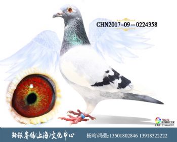 CHN201709-0224358