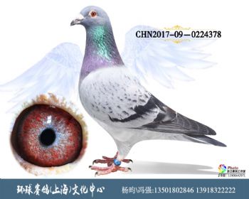 CHN201709-0224378
