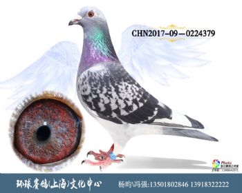 CHN201709-0224379