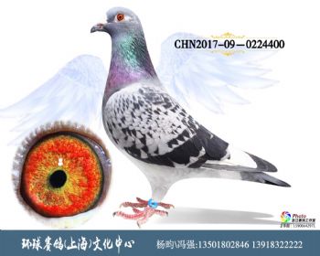 CHN201709-0224400