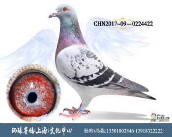 CHN201709-0224422