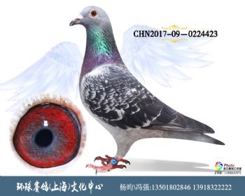 CHN201709-0224423