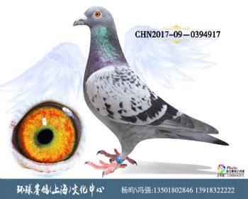 CHN201709-0394917