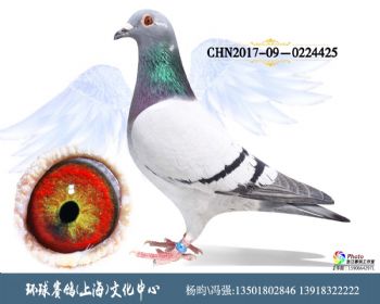 CHN201709-0224425