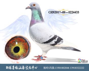 CHN201709-0224433