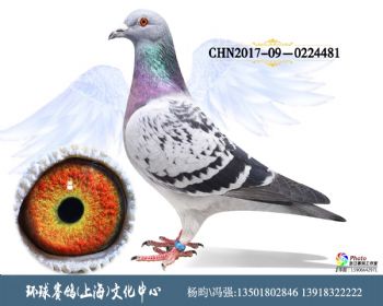 CHN201709-0224481