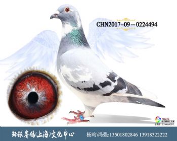 CHN201709-0224494