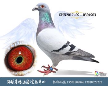 CHN201709-0394903