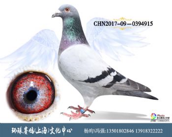 CHN201709-0394915