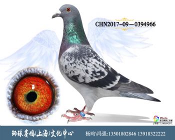 CHN201709-0394966