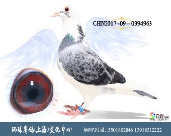CHN201709-0394963