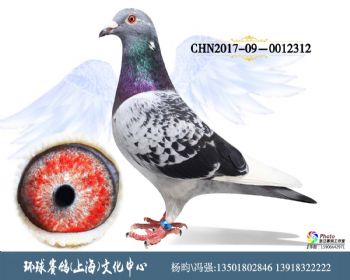 CHN201709-0012312